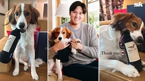 In Photos: Shohei Ohtani's furry friend Decoy steals the spotlight with namesake wine bottles