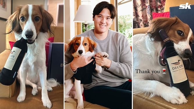 In Photos: Shohei Ohtani's furry friend Decoy steals the spotlight with namesake wine bottles