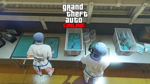 Which is the best Meth lab location for GTA Online beginners after the Cluckin Bell Farm Raid update?