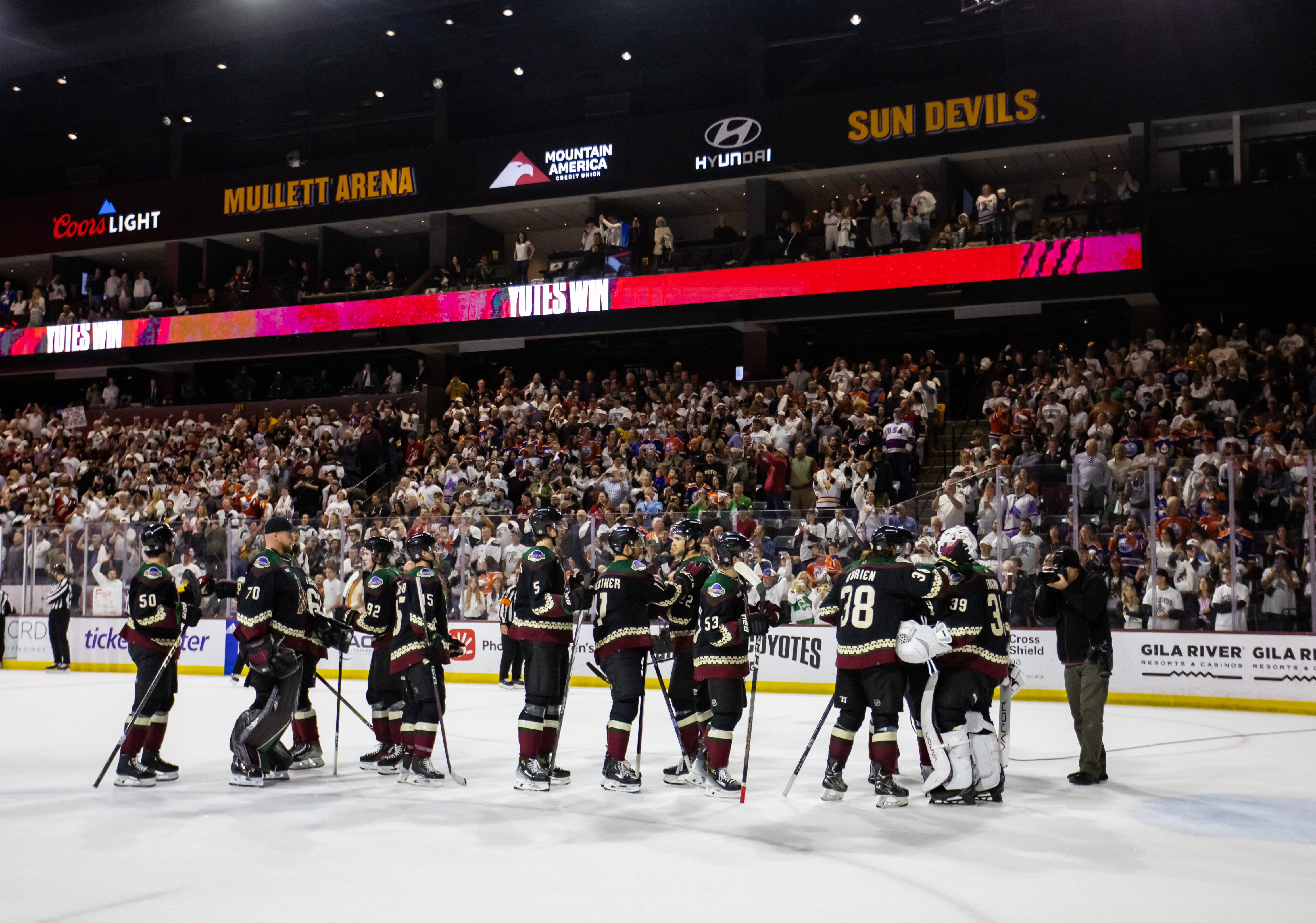 Arizona Coyotes