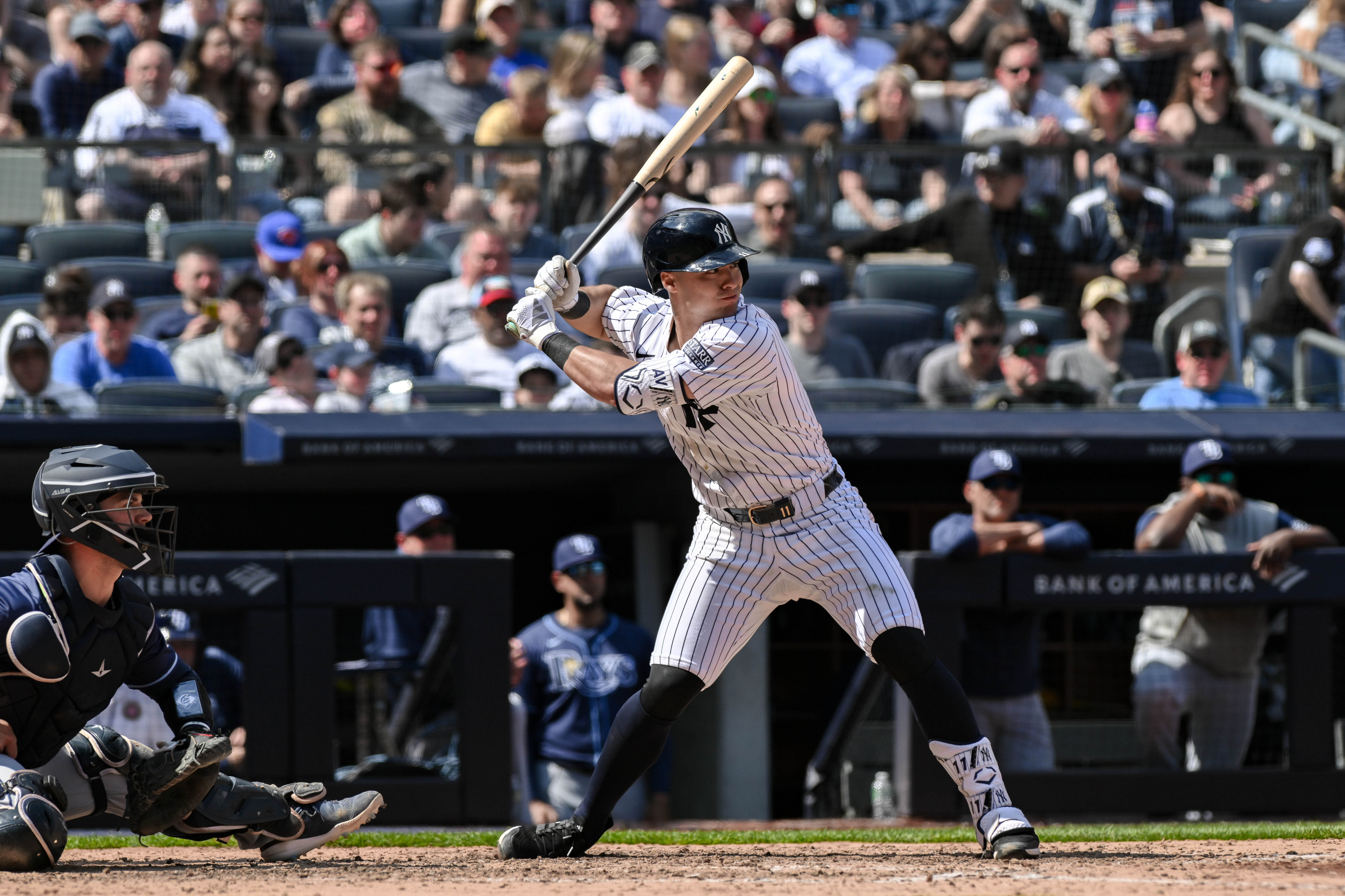 New York Yankees - Anthony Volpe (Image via USA Today)