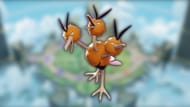 Dodrio in Pokemon Unite (Image via The Pokemon Company)