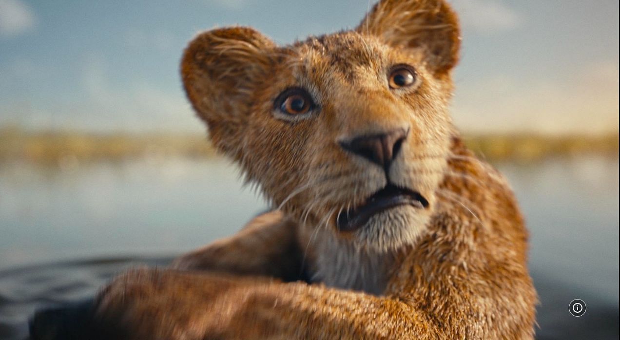 A still from &#039;Mufasa The Lion King&#039; (via IMDb)