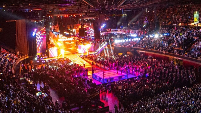 Former WWE star confirms AEW status