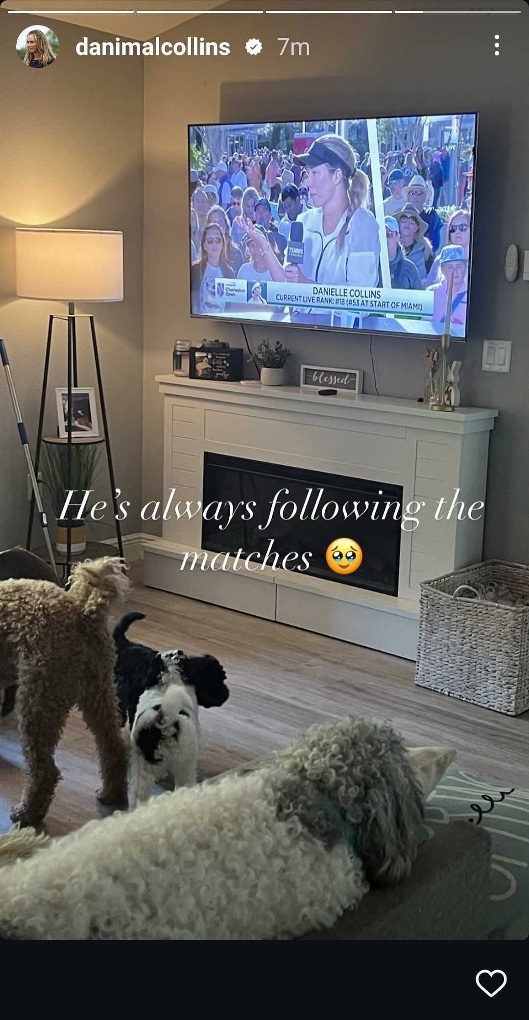 Danielle Collins&#039; Instagram post showing Quincy and her other dogs watching her post-match interview with Tennis Channel