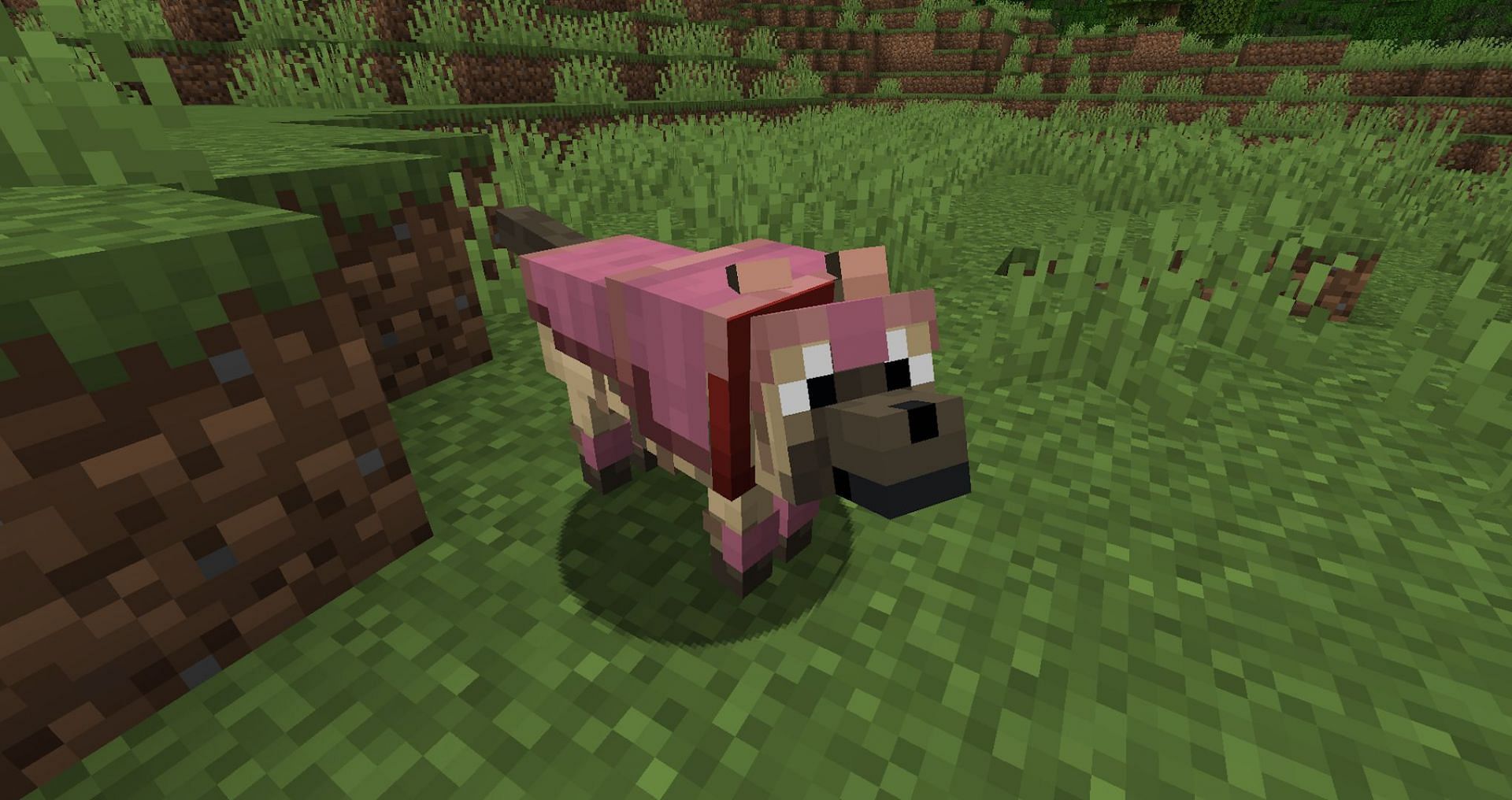 Thankfully, the armor is not lost even if the wolf is (Image via Mojang)