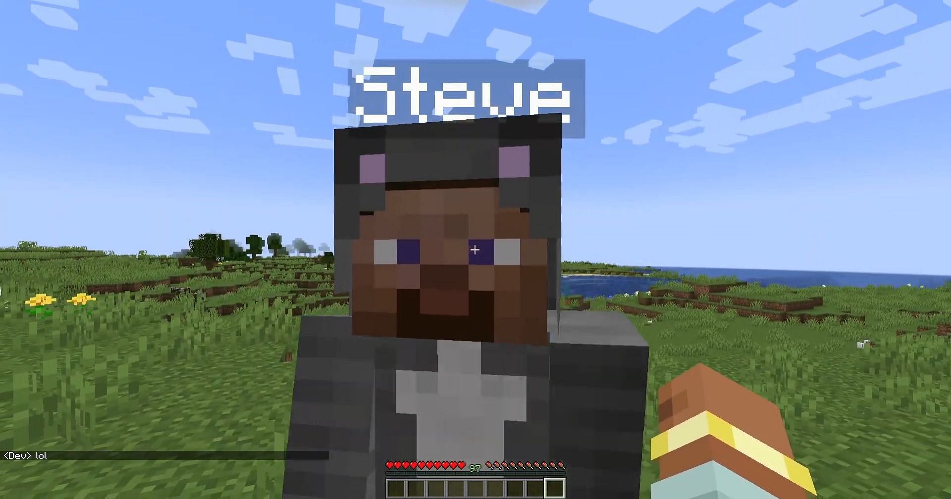 As the name implies, this mod allows players to create fake Minecraft players to inhabit their worlds (Image via Duzo/YouTube)