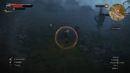 Using Quen's Active Shield in The Witcher 3 (Image via CD Projekt Red)