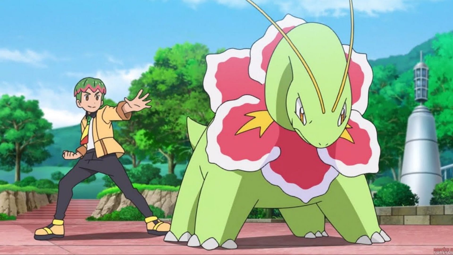 Meganium in the anime (Image via The Pokemon Company)