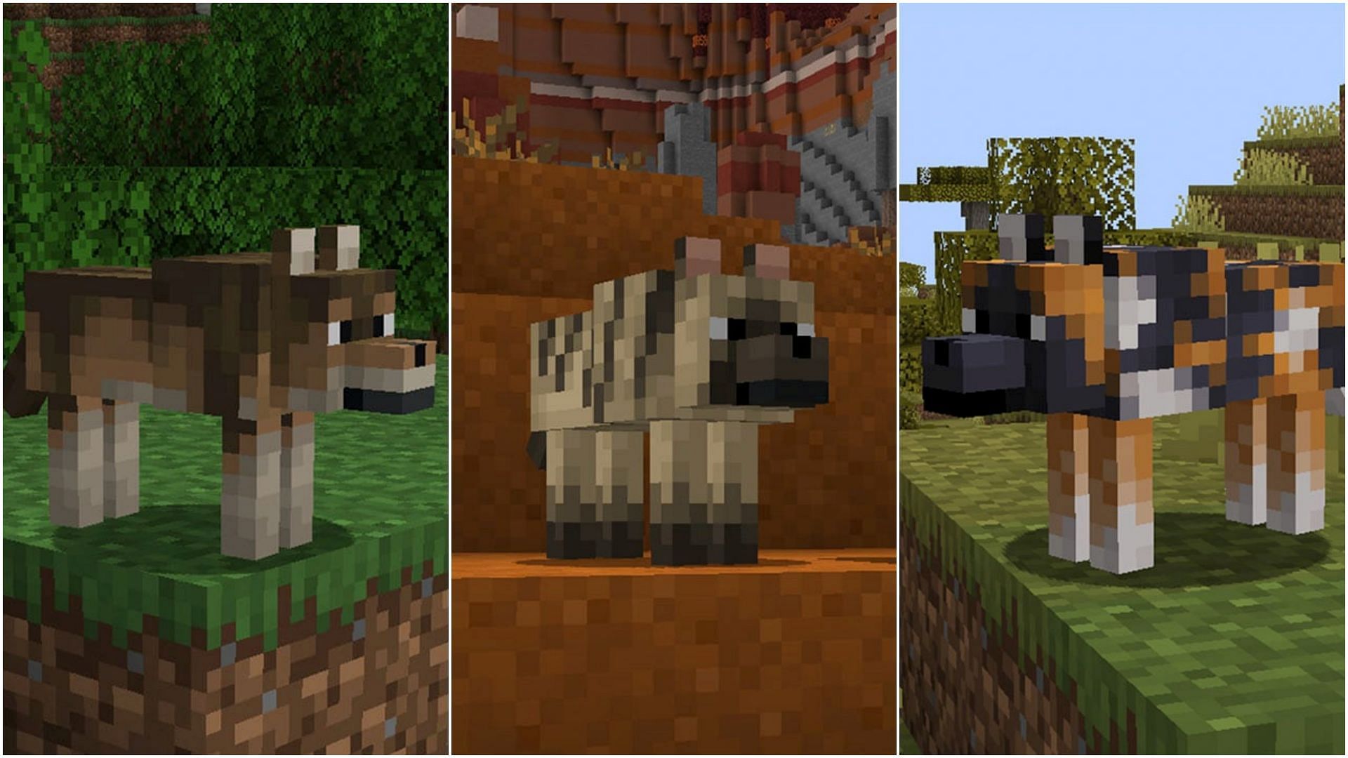 Seeds to find new variants of wolves (Image via Mojang Studios)