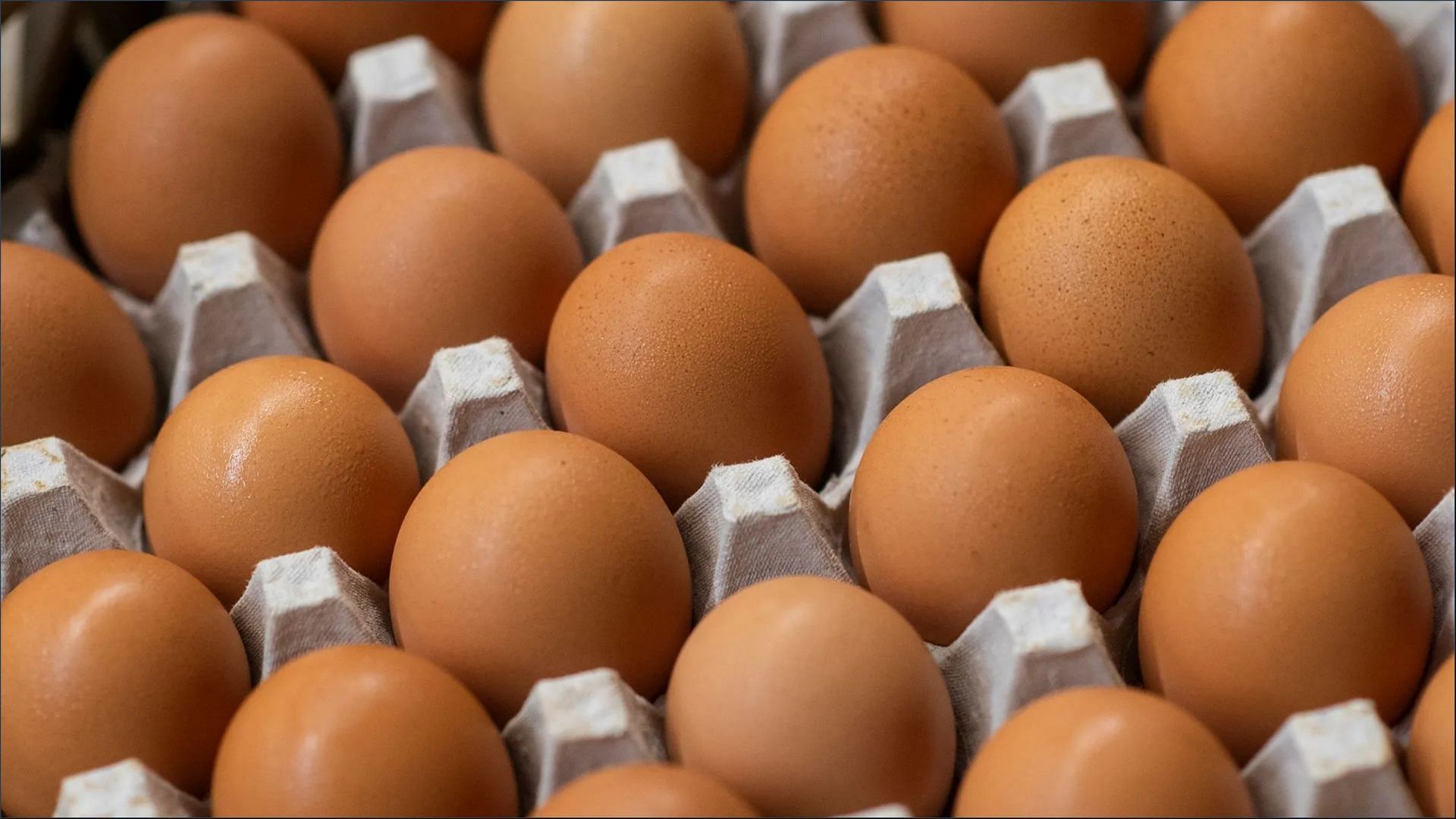 Cal-Maine Foods halts egg production after reports of bird flu (Image via Cal-Maine Foods)