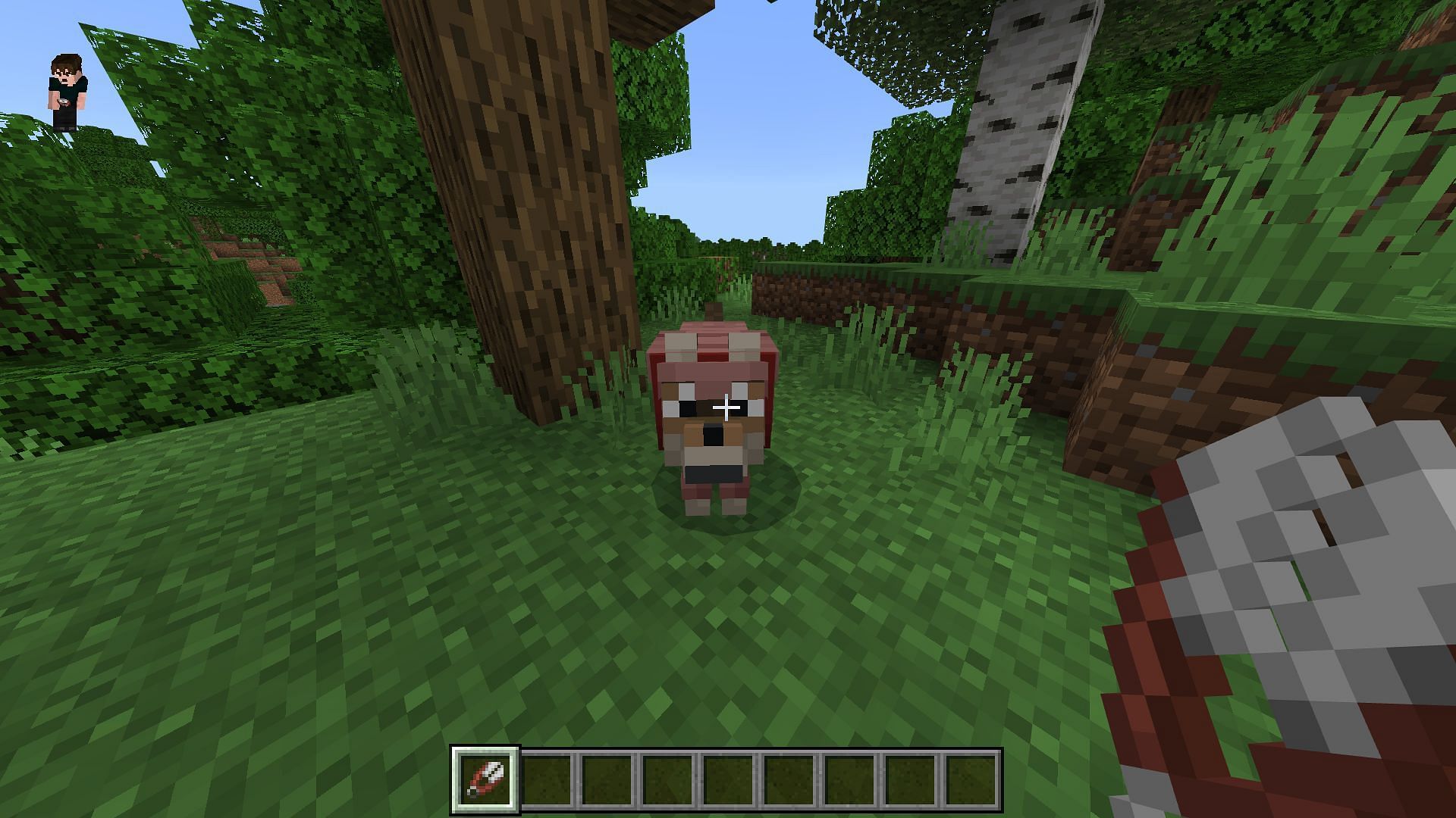 Minecraft players can remove armor from wolves in the Dog Update by using shears (Image via Mojang)