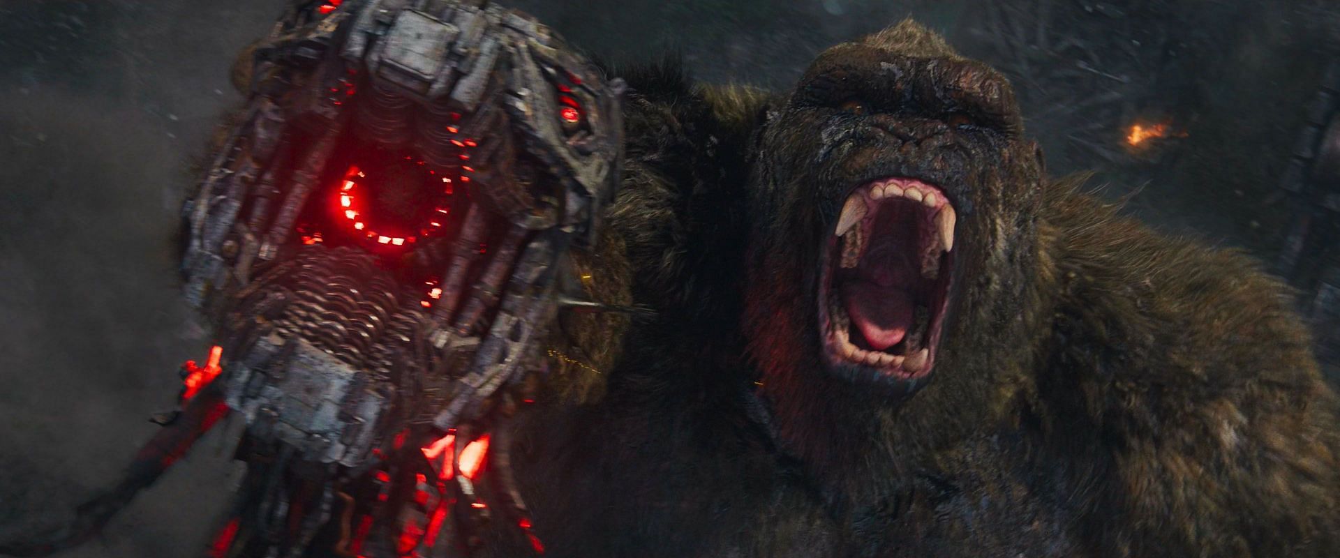 A still from Godzilla vs Kong (Image via Warner Bros)