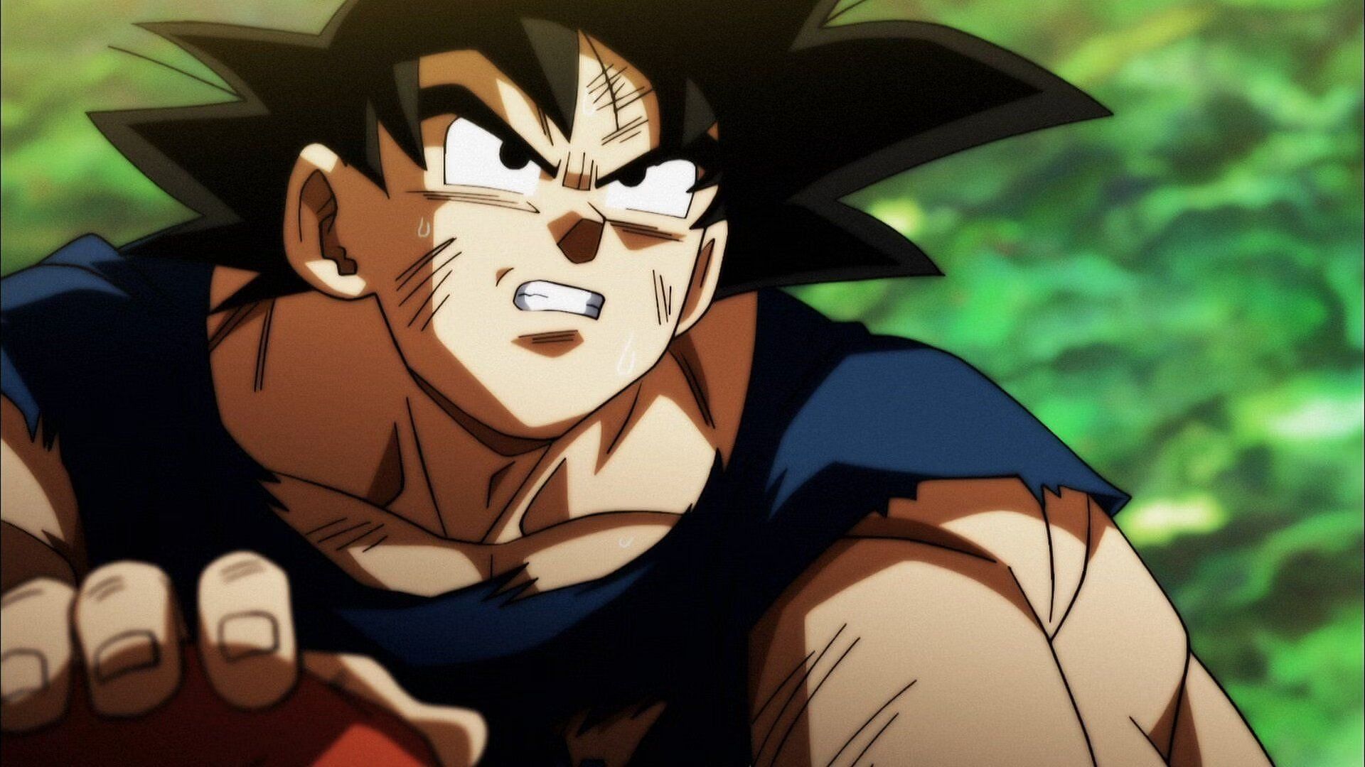 Goku in the Dragon Ball Super anime (Image via Toei Animation).