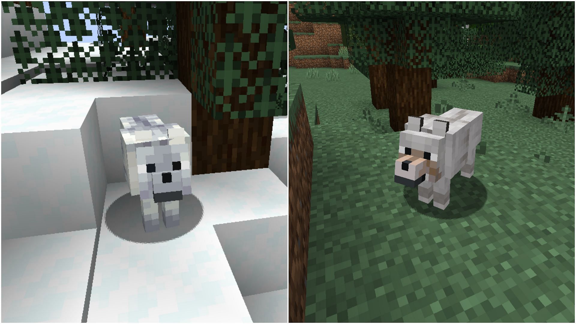 This seed is near biomes spawning pale and snowy wolves (Image via Mojang Studios)