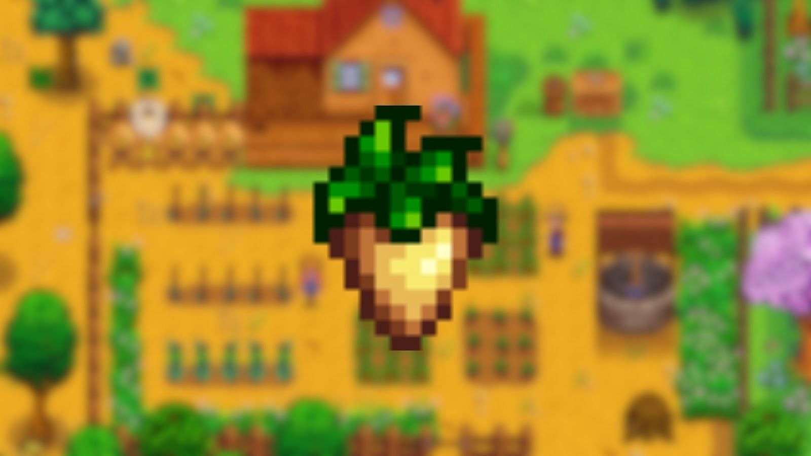 Parsnips in Stardew Valley (Image via ConcernedApe) Enter caption Enter caption