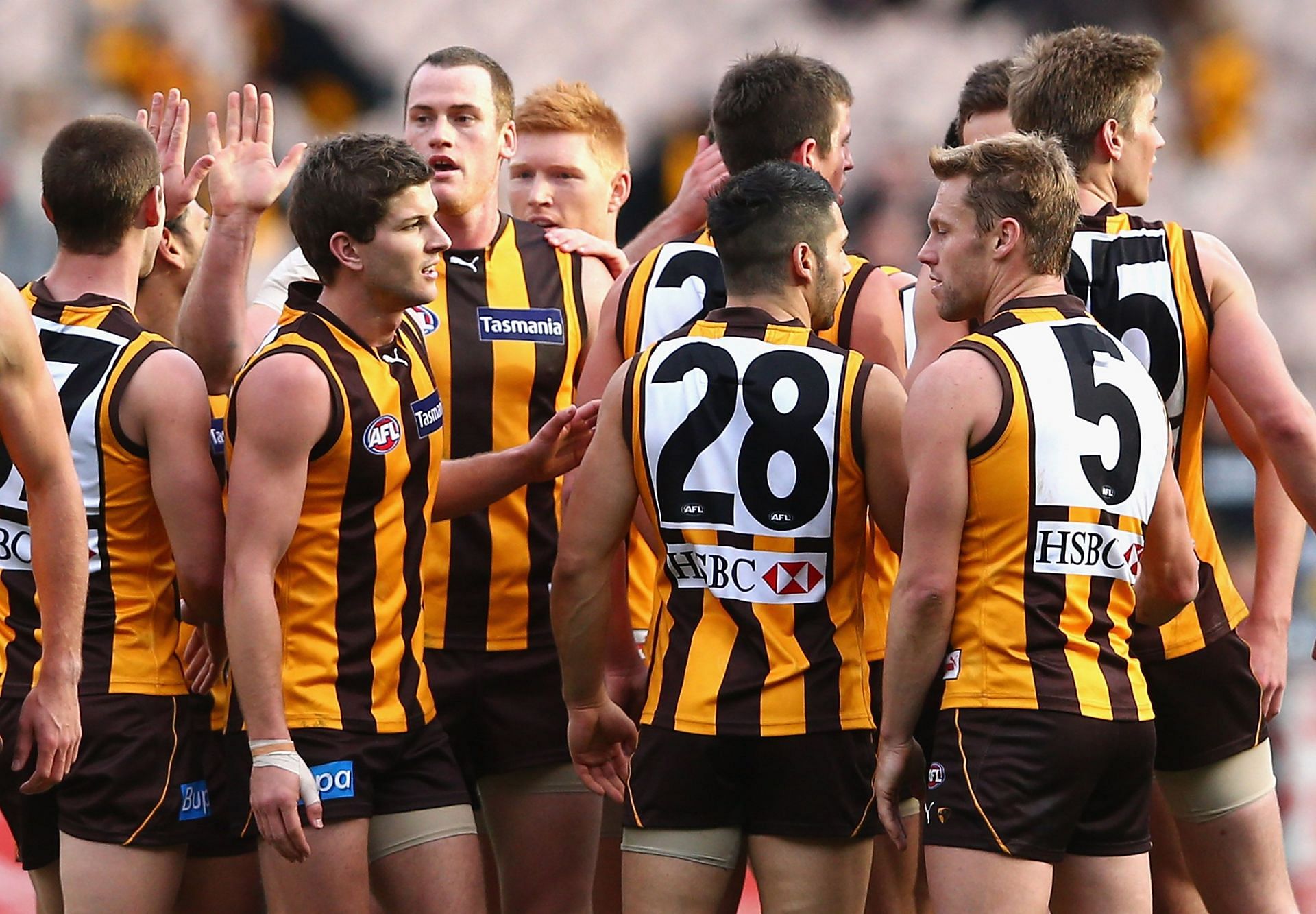 Hawthorn have some of the biggest winning margins in AFL history