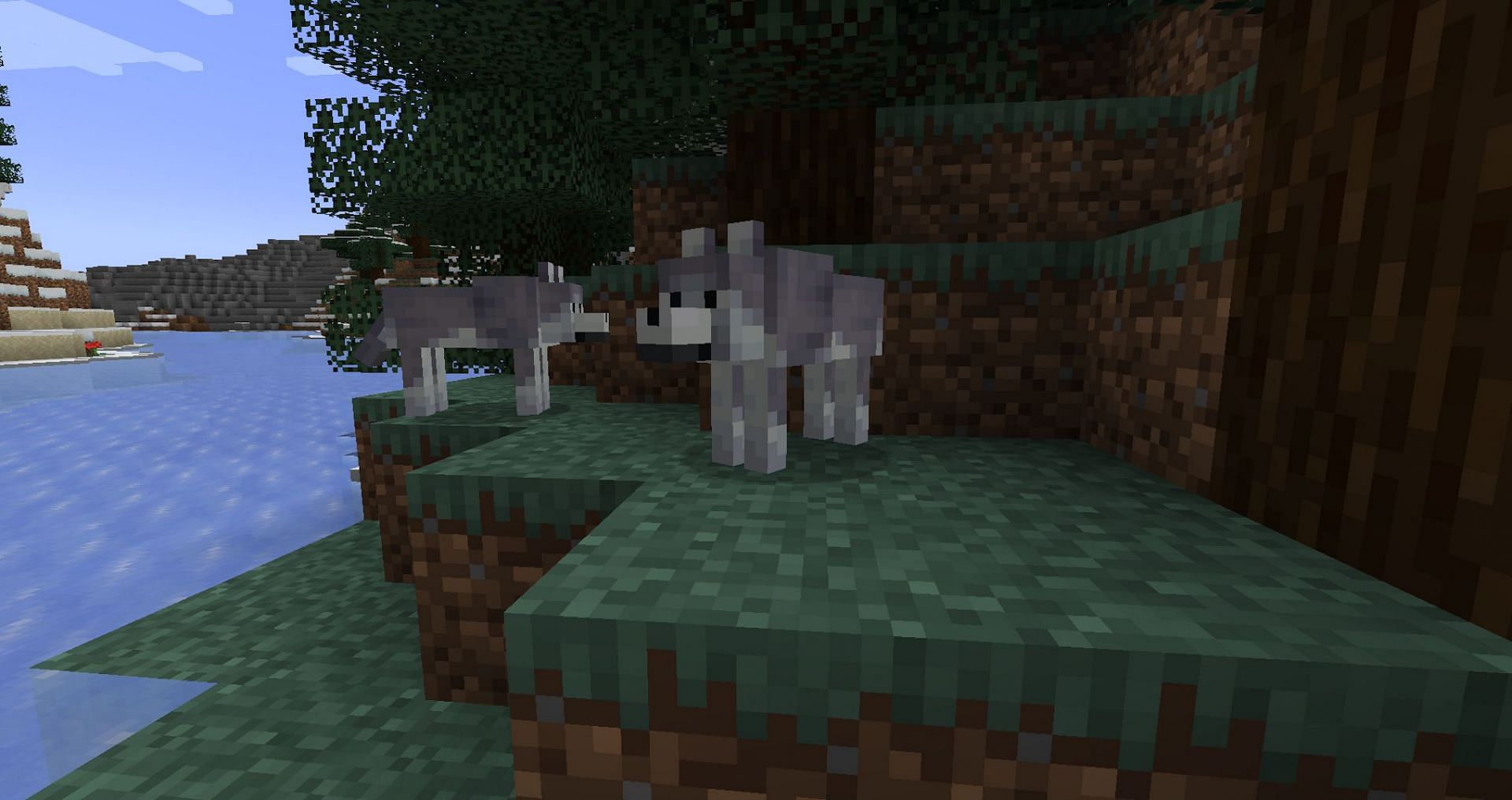 These wolf variants will make each biome feel more unique (Image via Mojang)