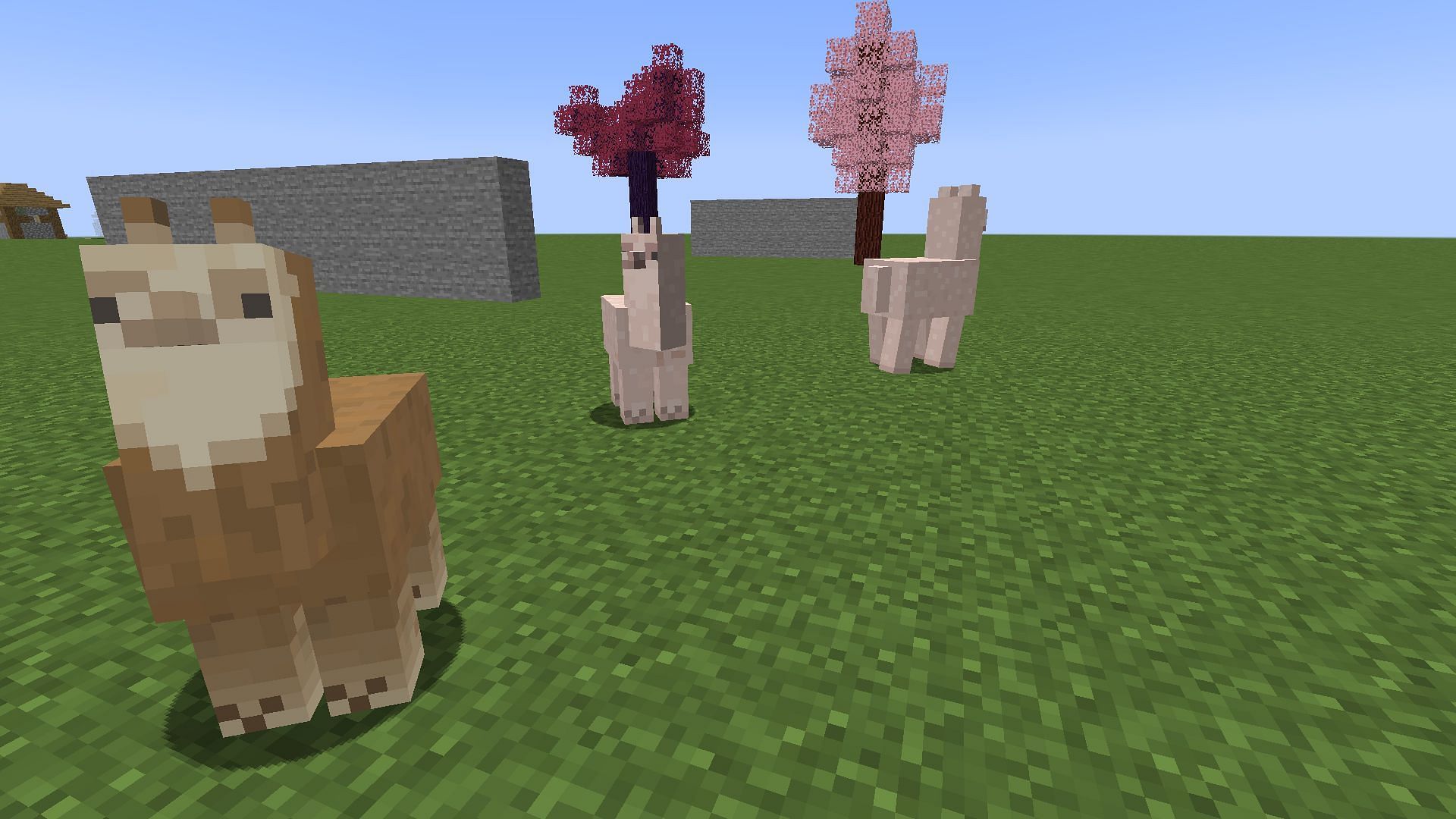 Alpacas represent a fork in development (Image via Mojang)