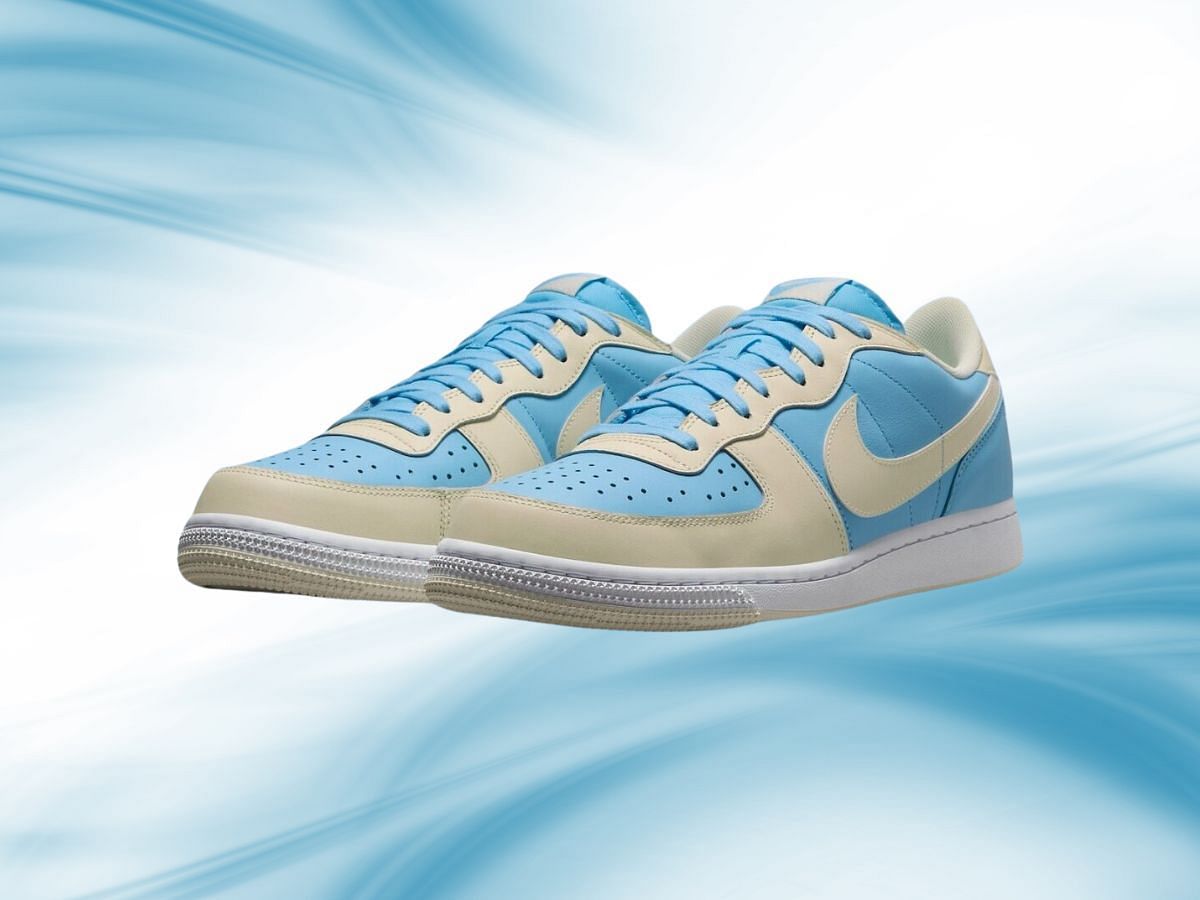 Nike Terminator Low &quot;Aquarius Blue&quot; (Image via Sneaker Bardetroit)