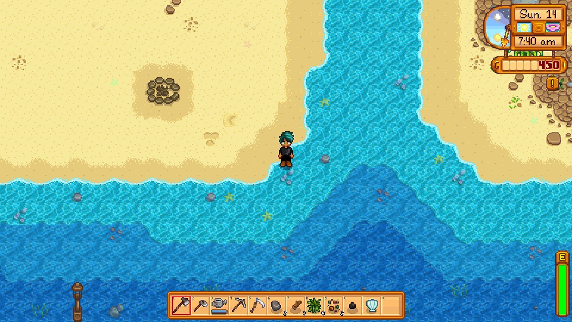 It&#039;s easy to catch Sardines at The Beach of Pelican Town. (Image via ConcernedApe)