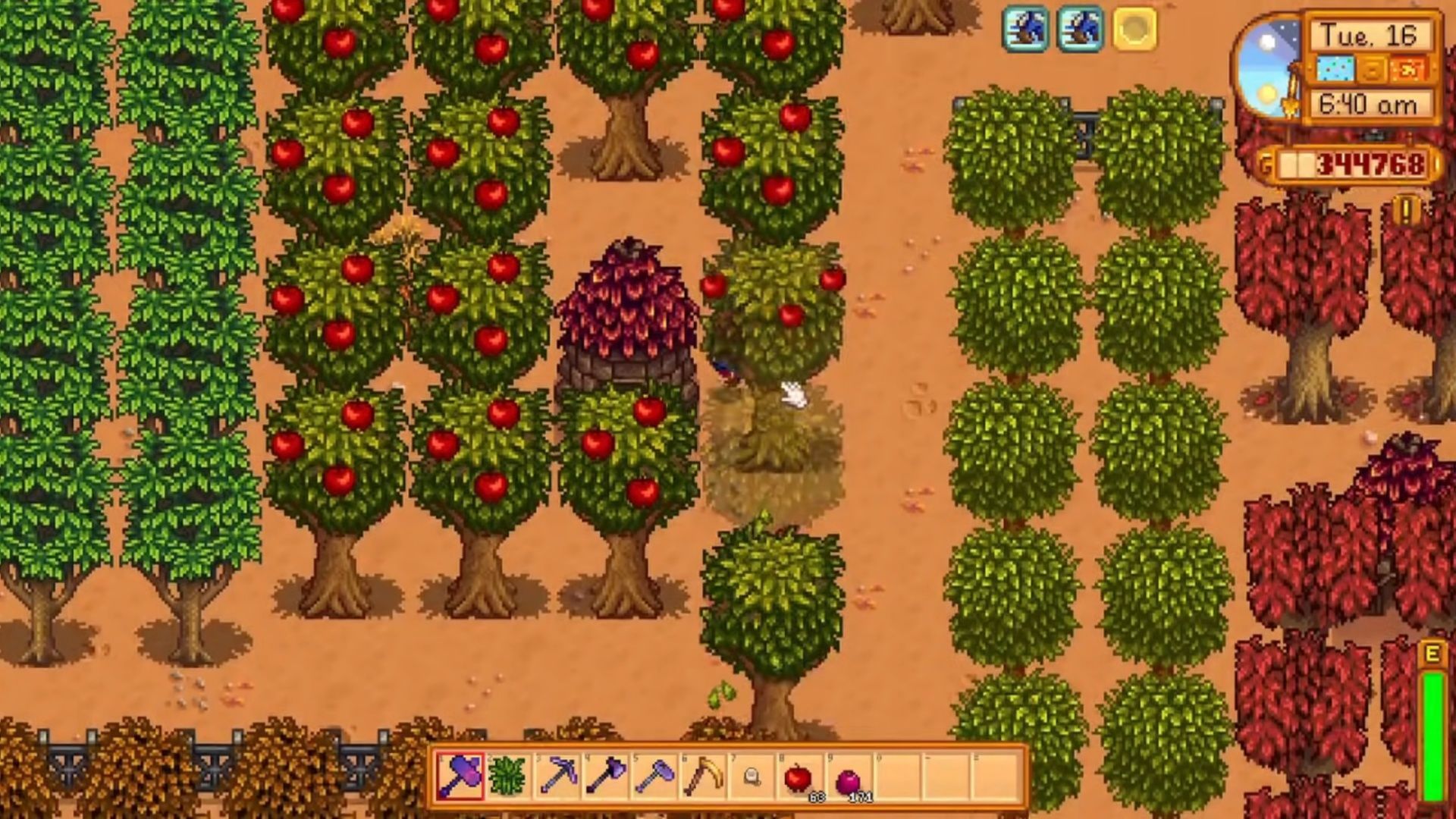 All fruit trees have their uses - the older they are, the better (Image via Chucklefish)