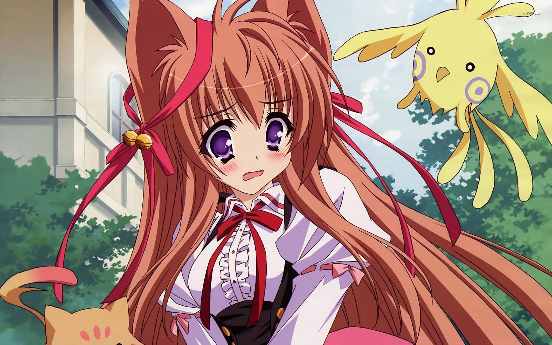 Mashiro Hito - a popular wolf anime girl as seen in the Tayutama series (Image via Silver Link)