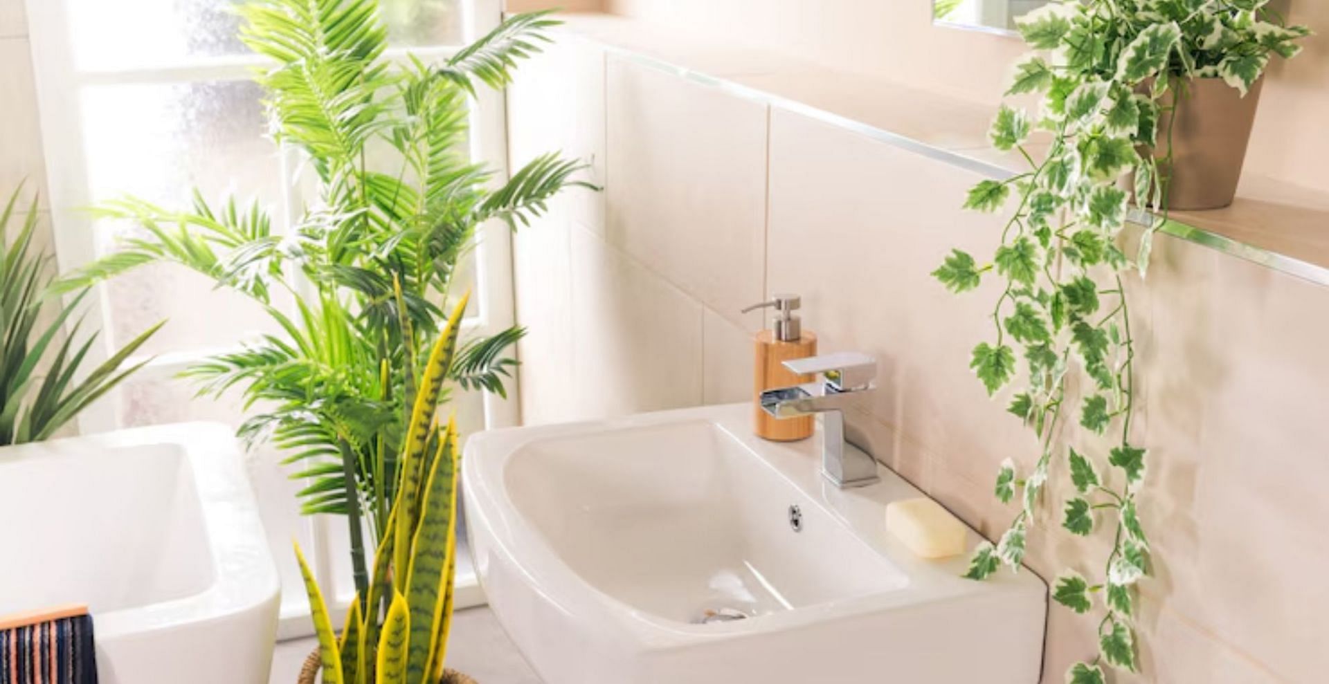 Ways to revamp a small bathroom on a budget