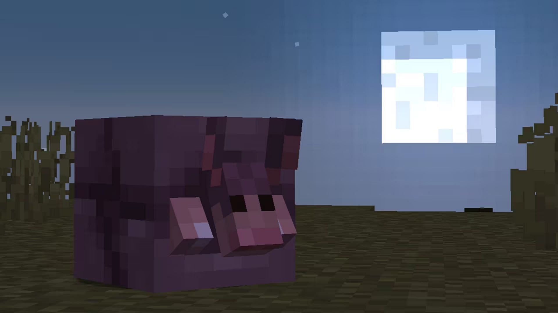The armadillo has been added to Minecraft (Image via Mojang Studios)