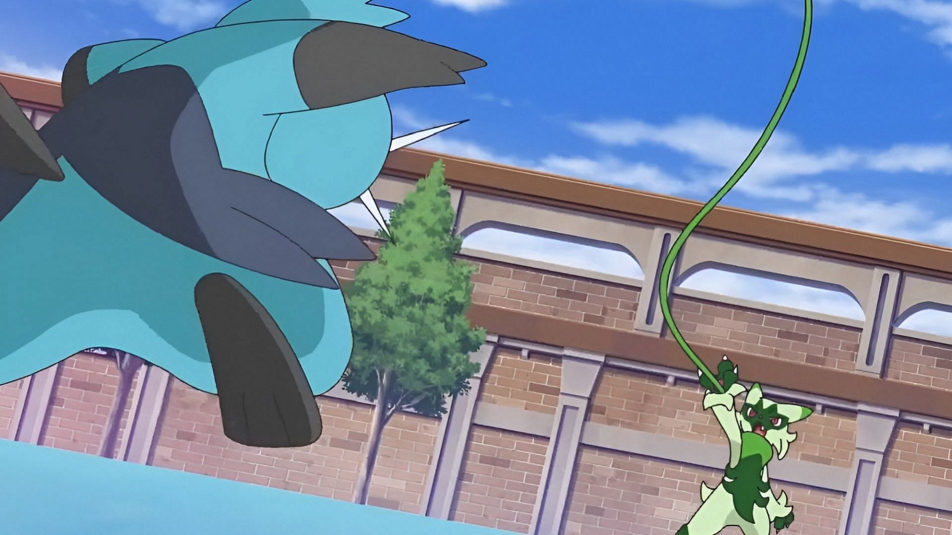 Ann&#039;s Dewott and Liko&#039;s Floragato battle at Naranja Academy (Image via The Pokemon Company)