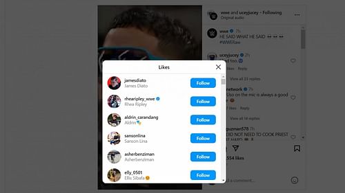 Ripley liked WWE's Instagram post
