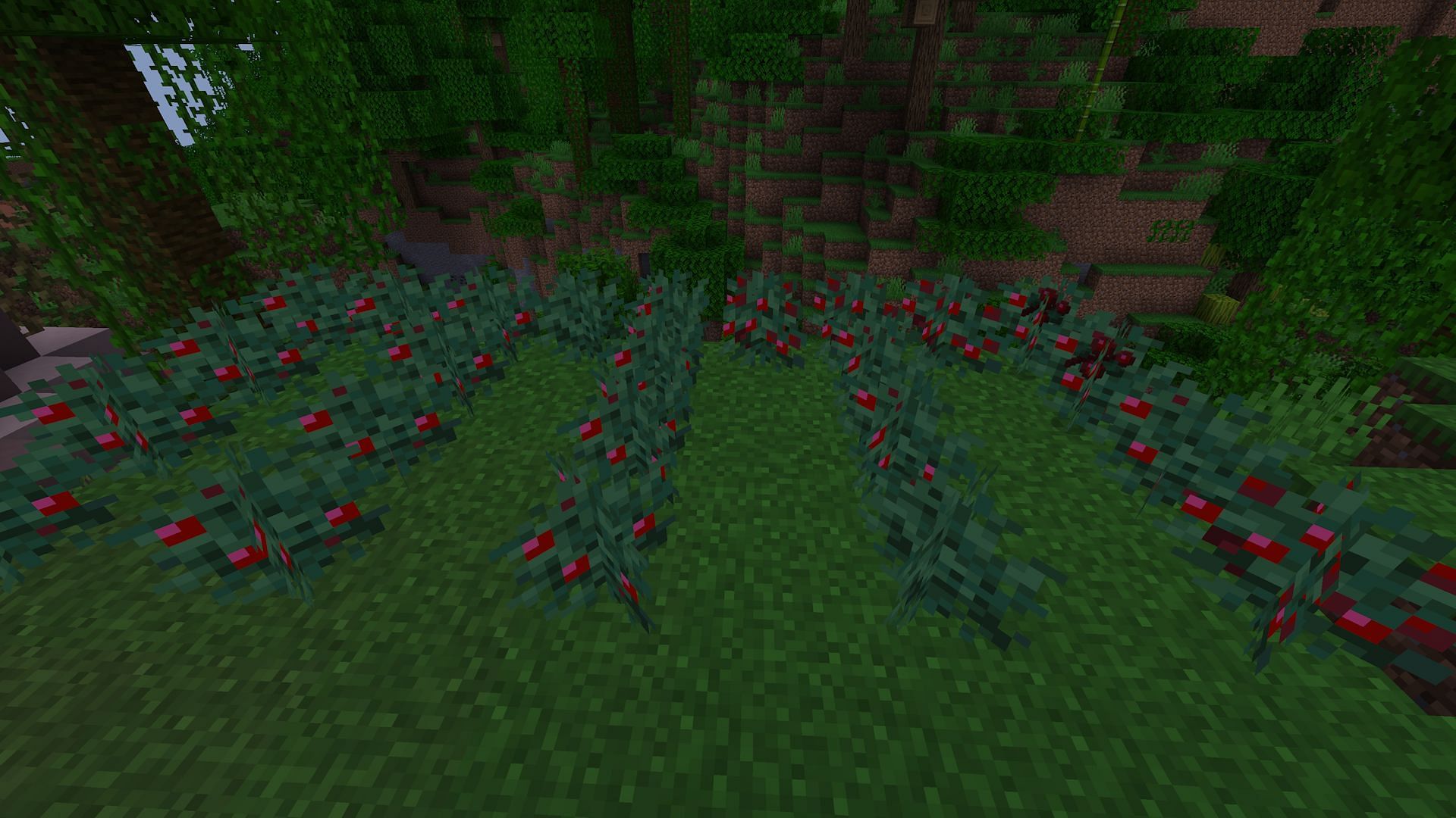 Fortune means even a small sweet berry farm should produce more than enough (Image via Mojang)