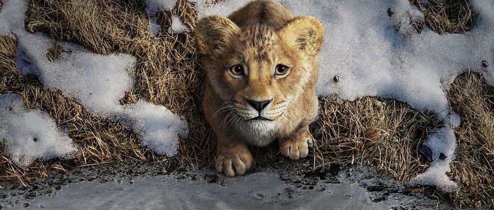 Mufasa from The Lion King (Image via disneystudios/Instagram)