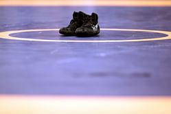 Federation Cup Wrestling: Delhi wrestlers bag 4 gold medals; Haryana secure 3 on Day 1