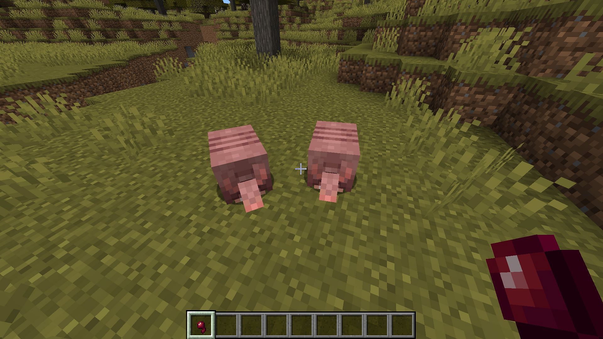 Armadillos are naturally drawn to spider eyes in Minecraft (Image via Mojang Studios)