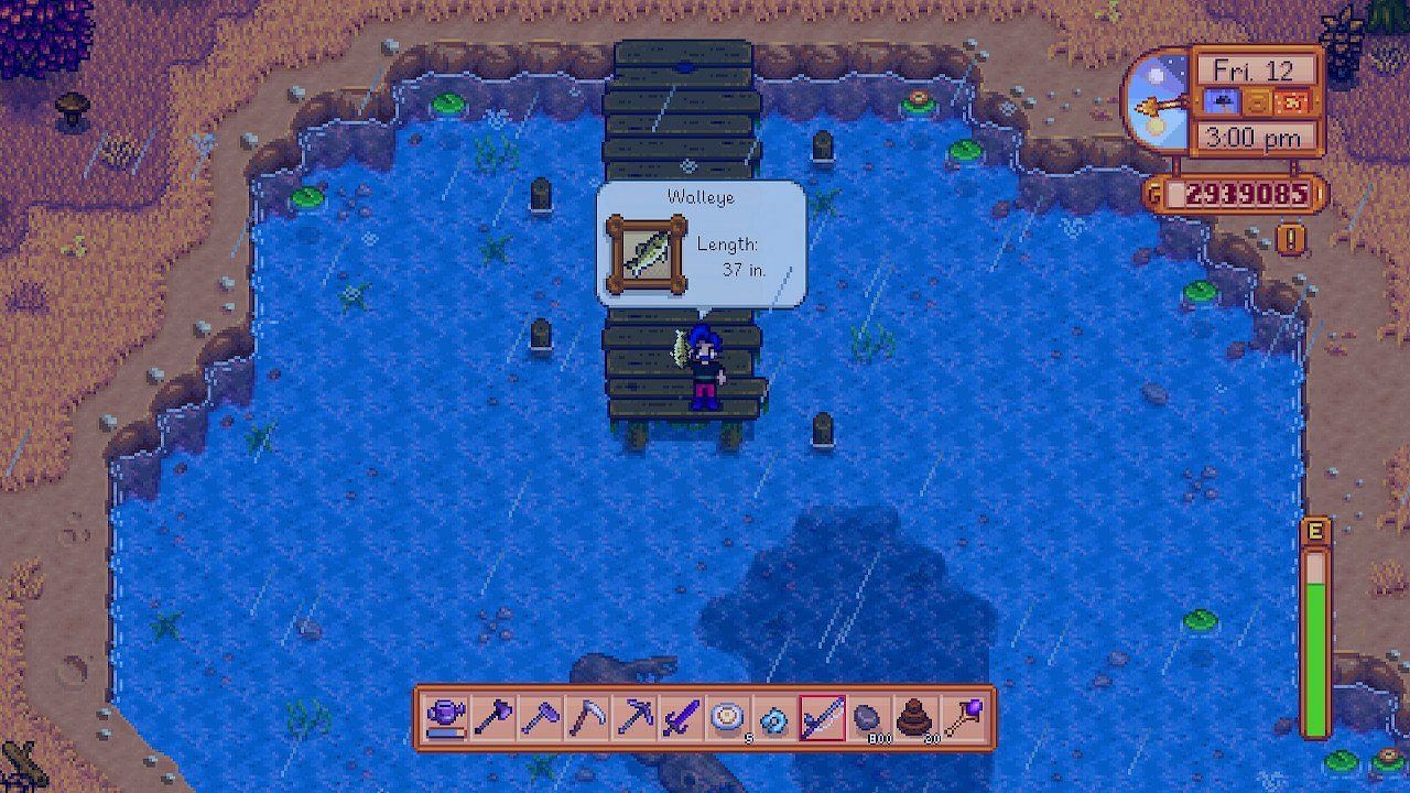 Catching the Walleye in Stardew Valley (Image via ConcernedApe || X: @MetroidMike64)