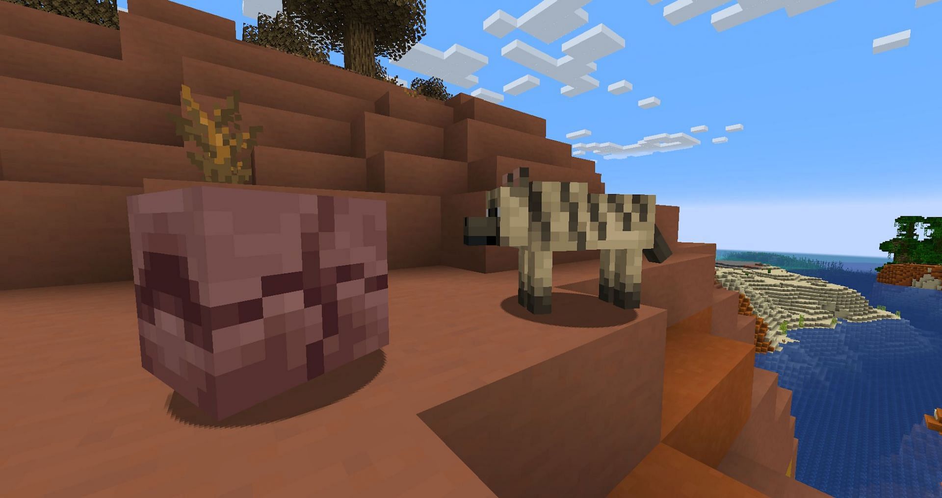 Wolf variants and armadillos are two of the biggest 1.20.5 features (Image via Mojang)