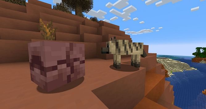 Minecraft 1.20.5 update: All major features