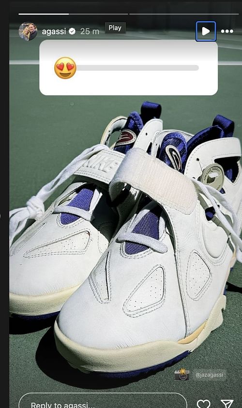 Screengrab from Andre Agassi's Instagram