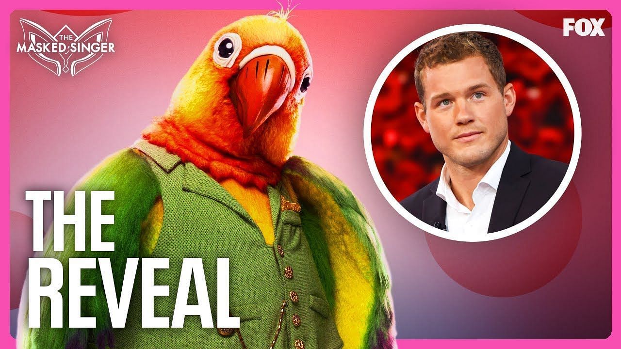 The Reveal: Colton Underwood is Lovebird (Image via Youtube/ The Masked Singer)