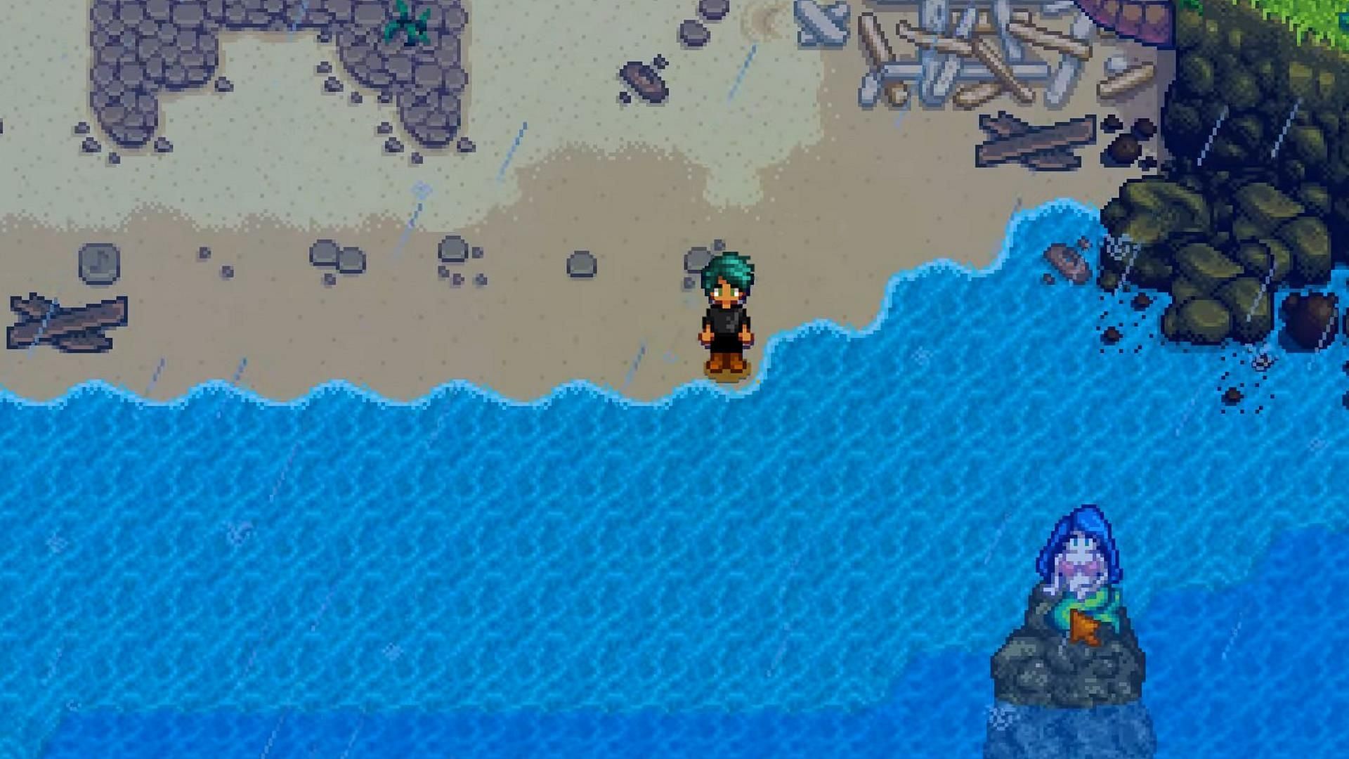 The Mermaid&#039;s puzzle is in Ginger Island&#039;s Pirate&#039;s Cove (Image via ConcernedApe)