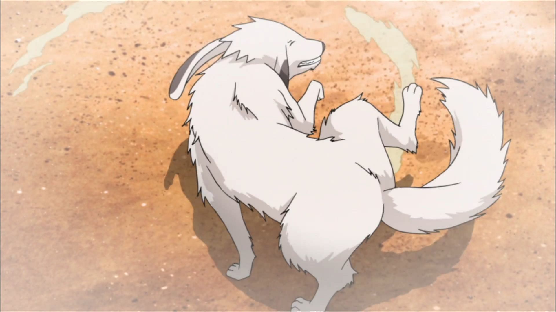 Akamaru as seen in the anime series (Image via Pierrot)