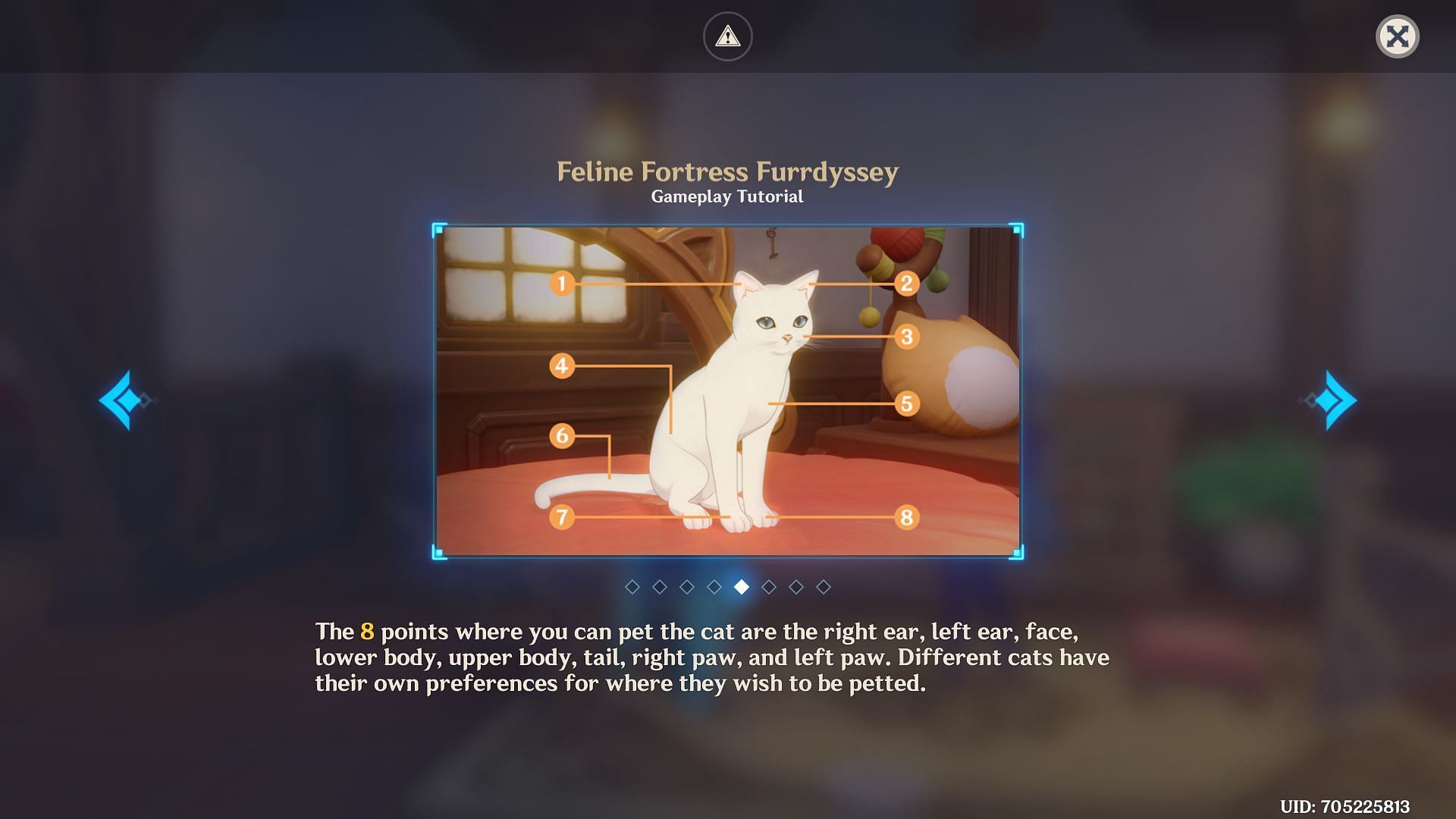All petting spots in the Feline Fortress Furrdyssey event (Image via HoYoverse)