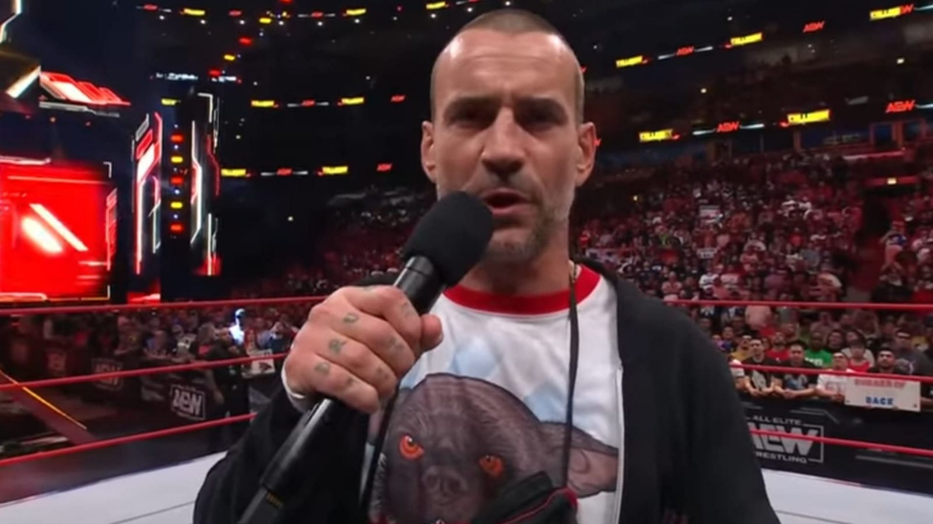 CM Punk is one of wrestling