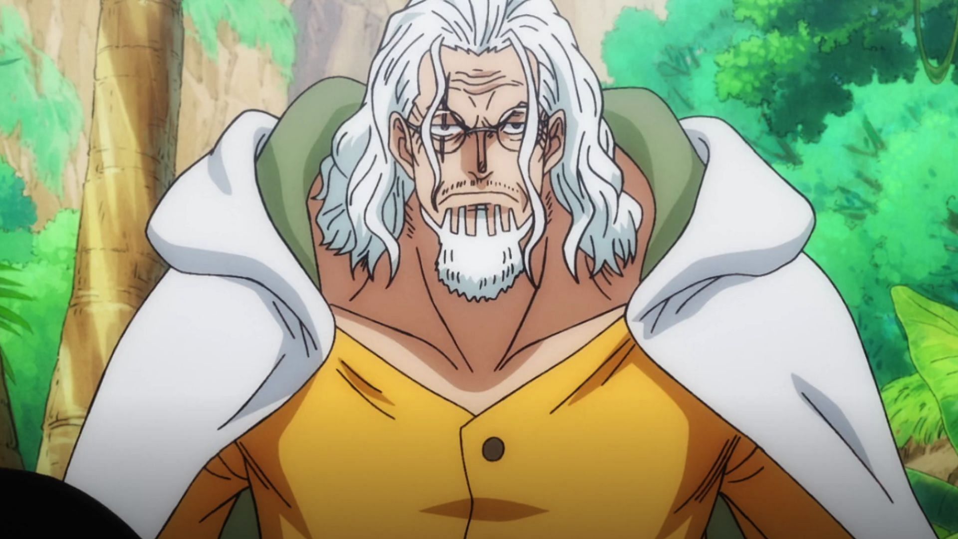 Underused One Piece character Rayleigh as seen in the anime (Image via Toei)