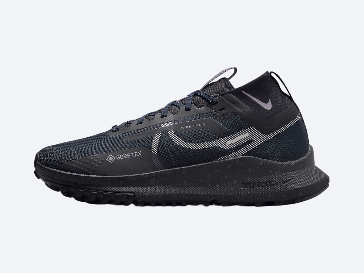 The Nike Pegasus Trail 4 GORE-TEX (Image via Nike)