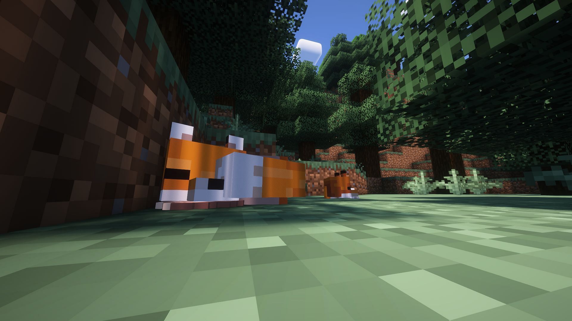 Fox sleeps both during night and day (Image via Mojang Studios)