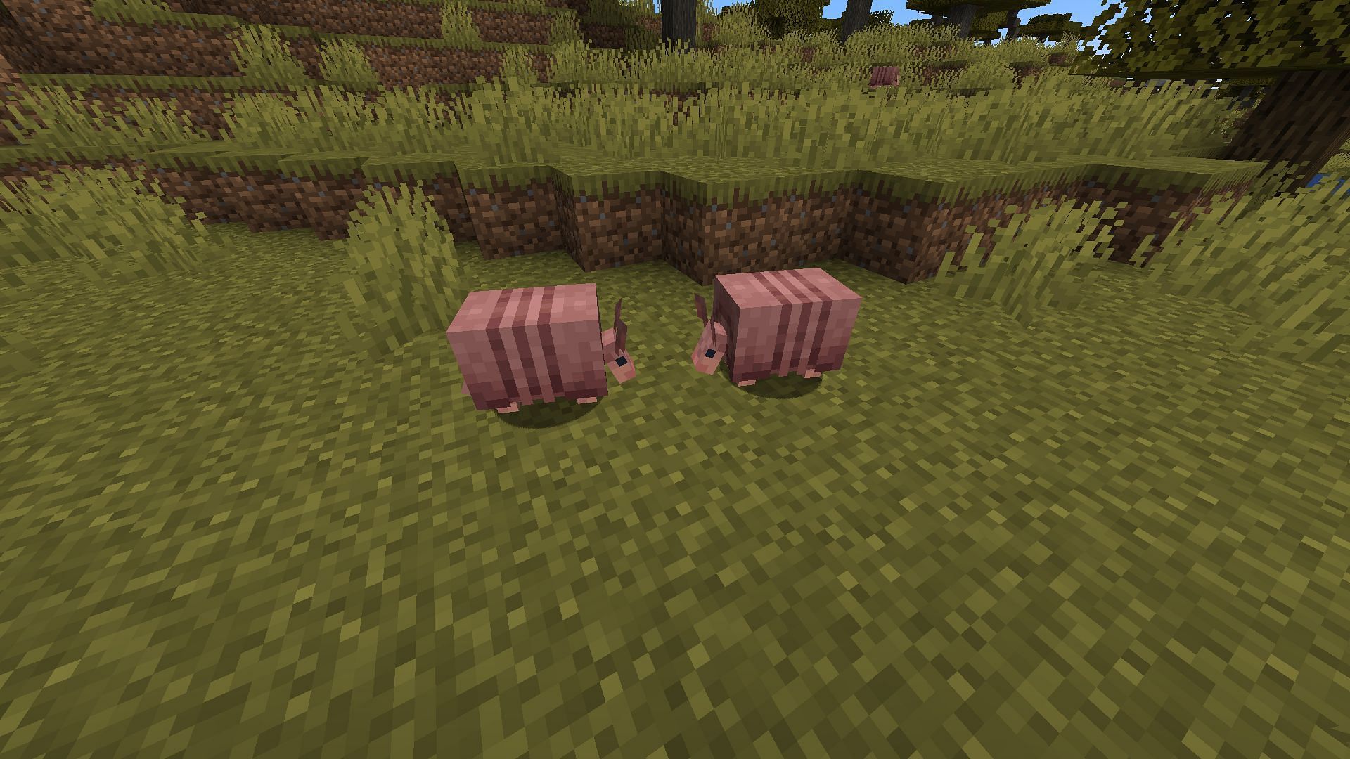 At least two armadillos are needed for breeding in Minecraft (Image via Mojang Studios)