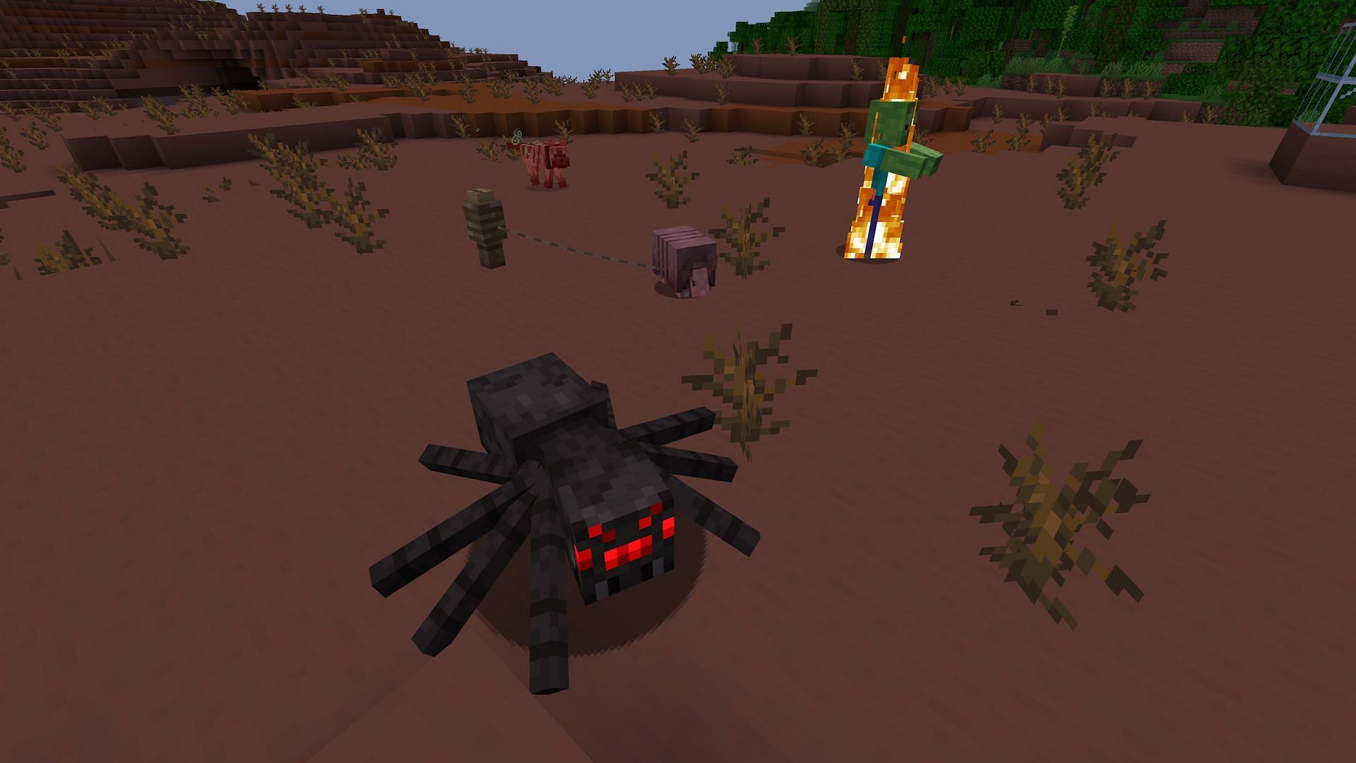 A spider running away from an armadillo, added with Minecraft 1.20.80 (Image via Mojang)