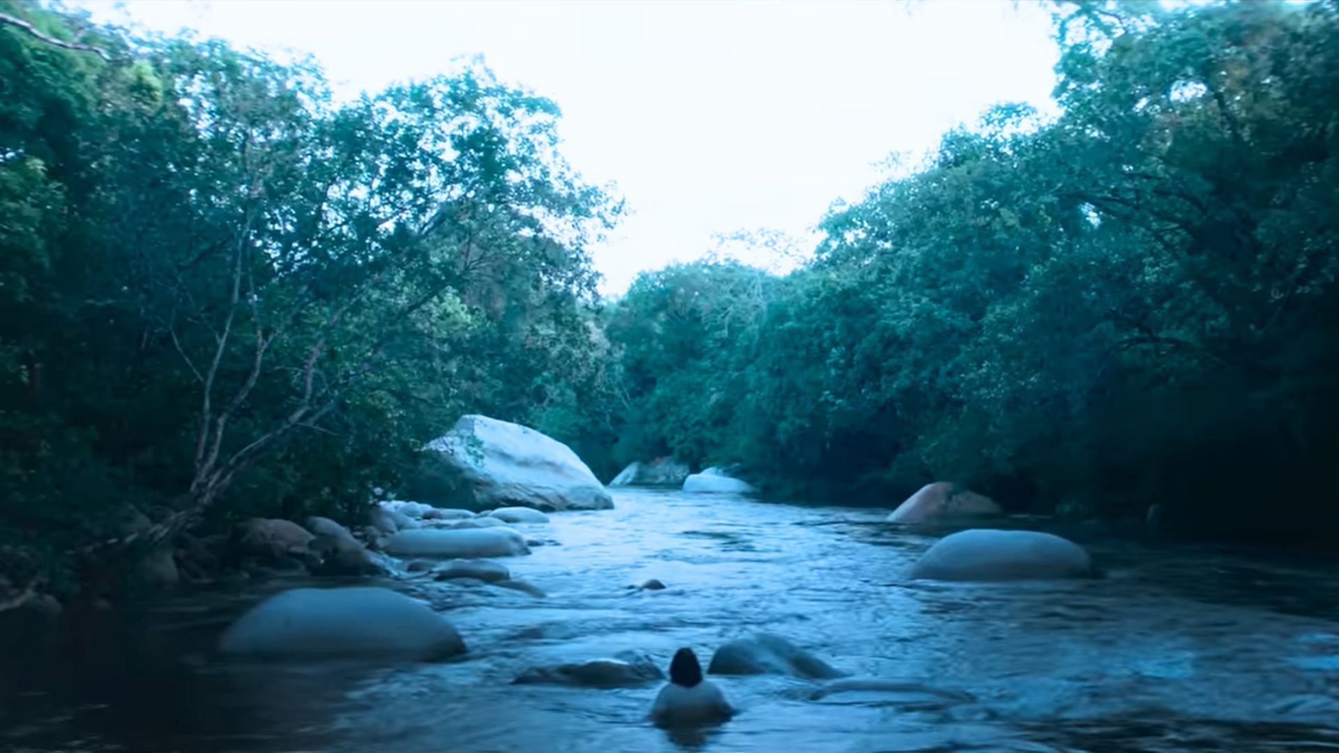 Forests and rivers highlight the isolation of the community (Image via Netflix)